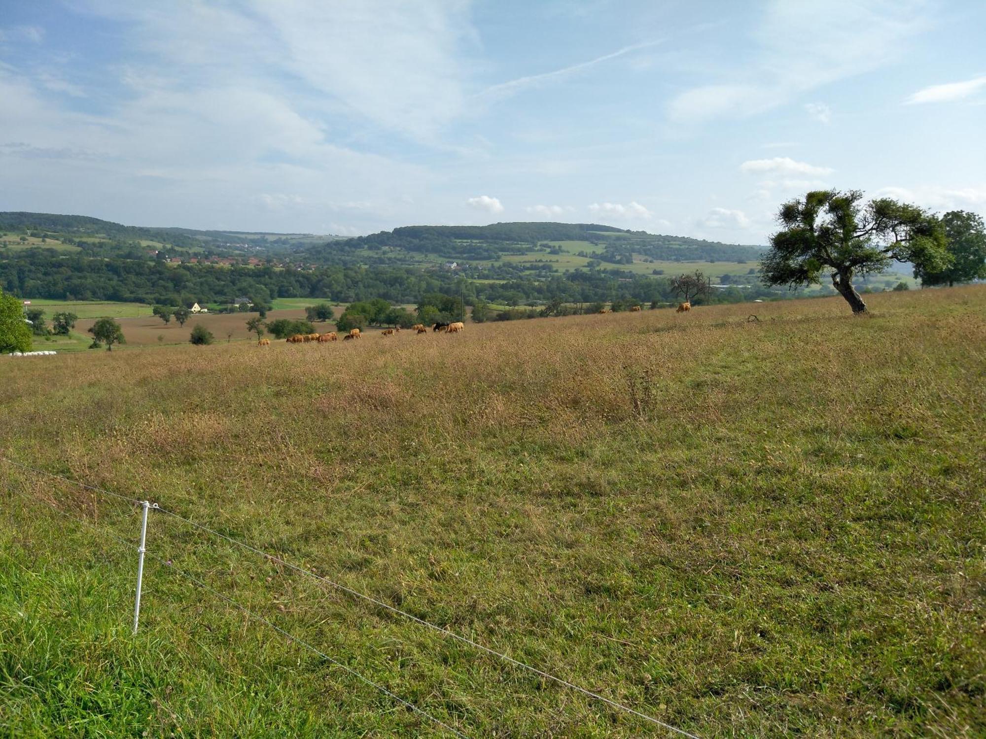 Camping Walsheim Gersheim Kültér fotó